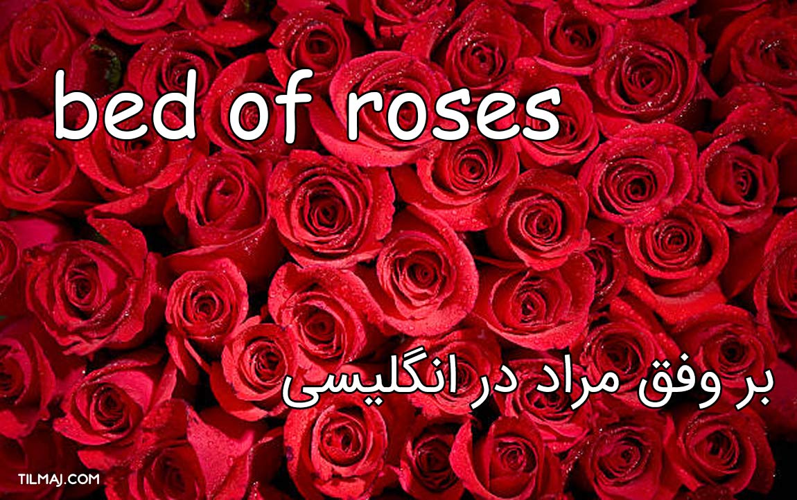 بر وفق مراد در انگلیسی [ مثال + مترادف + تصویر ] تیلماج