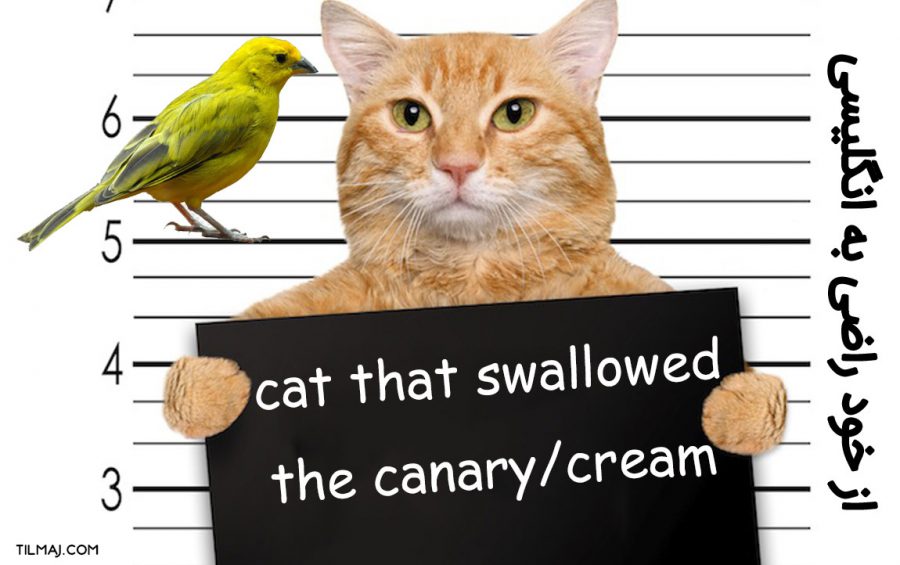 از خود راضی به انگلیسی [ مثال + مترادف + تصویر ] تیلماج