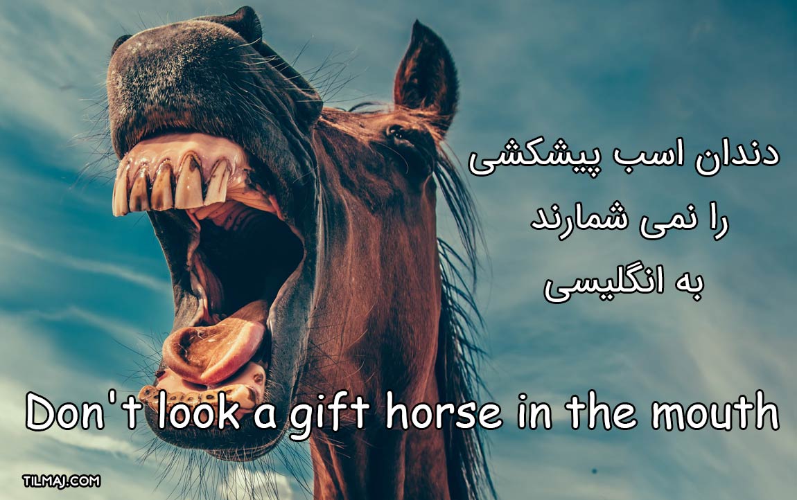 دندان اسب پیشکشی را نمی شمارند به انگلیسی